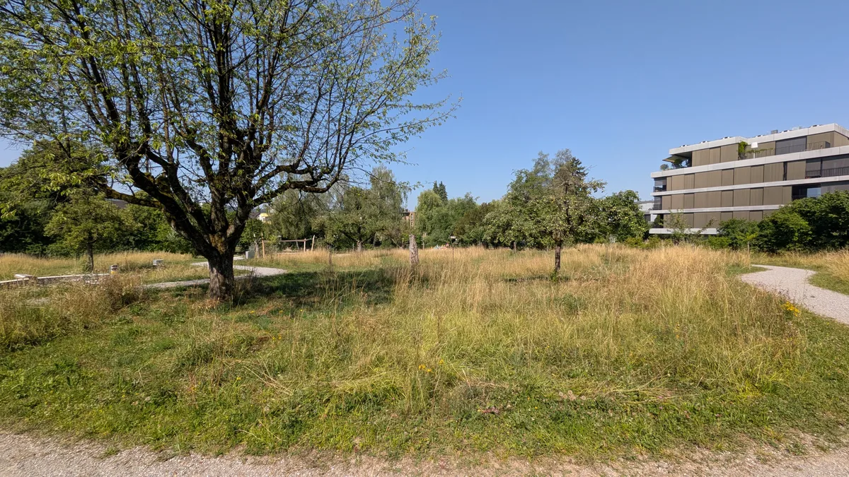 Die Natur hat viel Platz bekommen im Bettlipark. Impressionen aus einem Park.